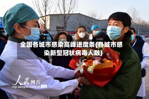 全国各城市感染高峰进度条(各城市感染新型冠状病毒人数)