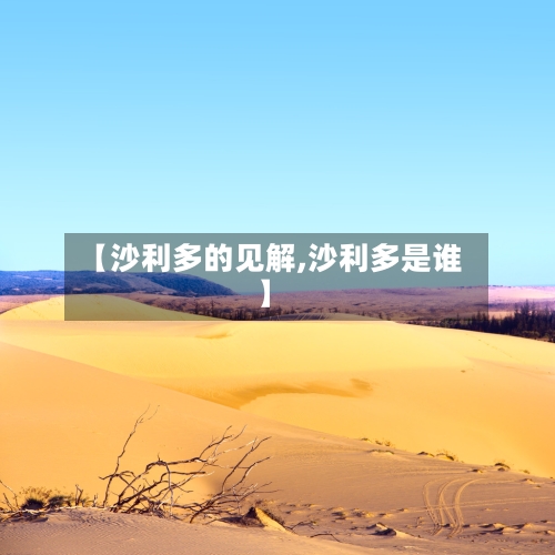 【沙利多的见解,沙利多是谁】-第2张图片