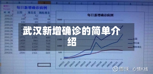 武汉新增确诊的简单介绍-第2张图片