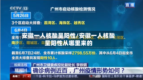 安徽一人核酸呈阳性/安徽一人核酸呈阳性从哪里来的-第3张图片